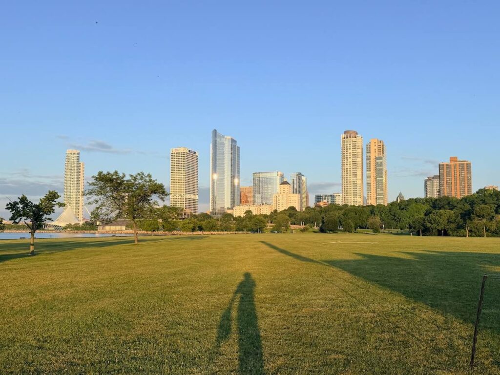 Park Skyline Trees Shadows